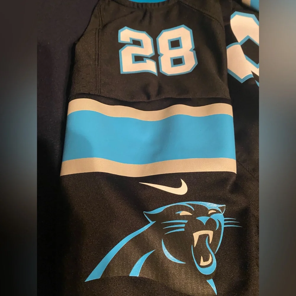 Carolina Panthers #28 Jonathon Stewart - Picture 7 of 7